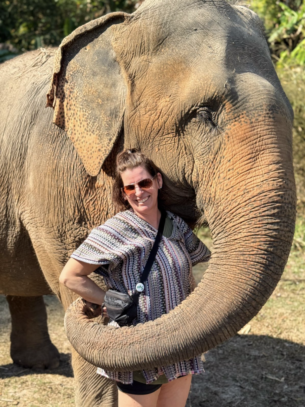Rencontre avec les éléphants