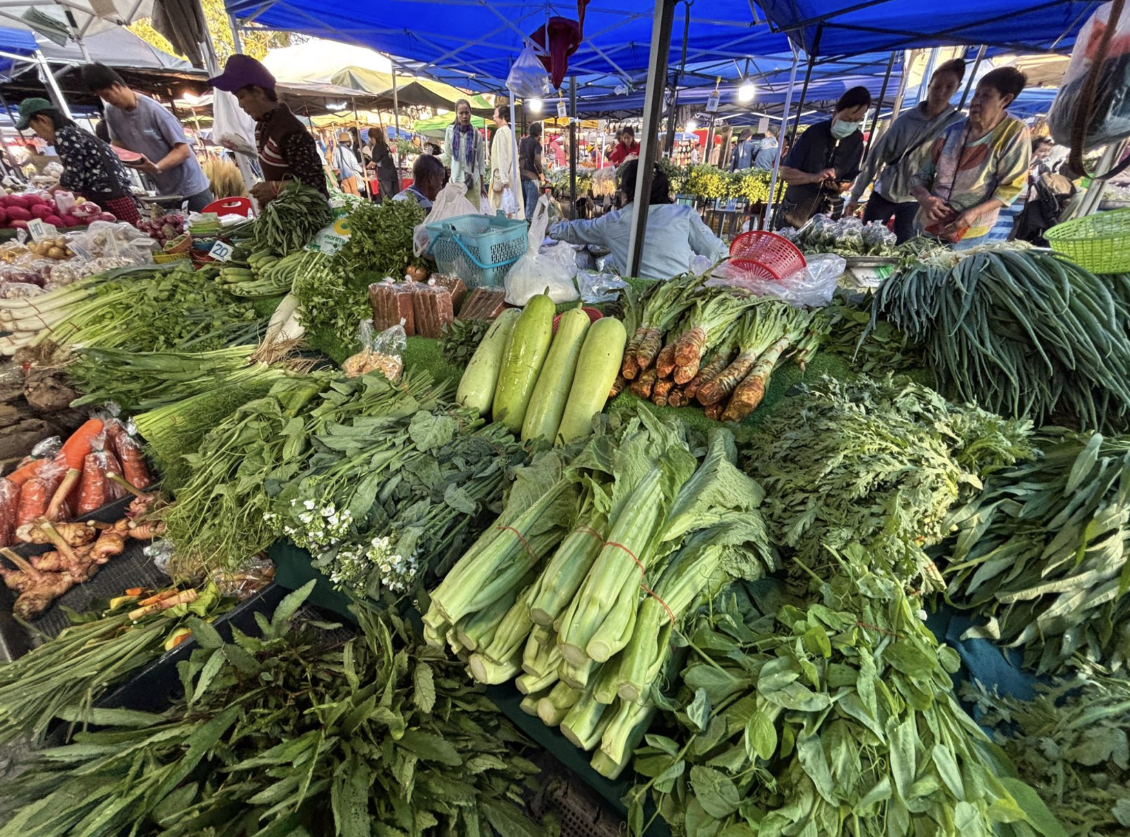 Marché de légumes frais