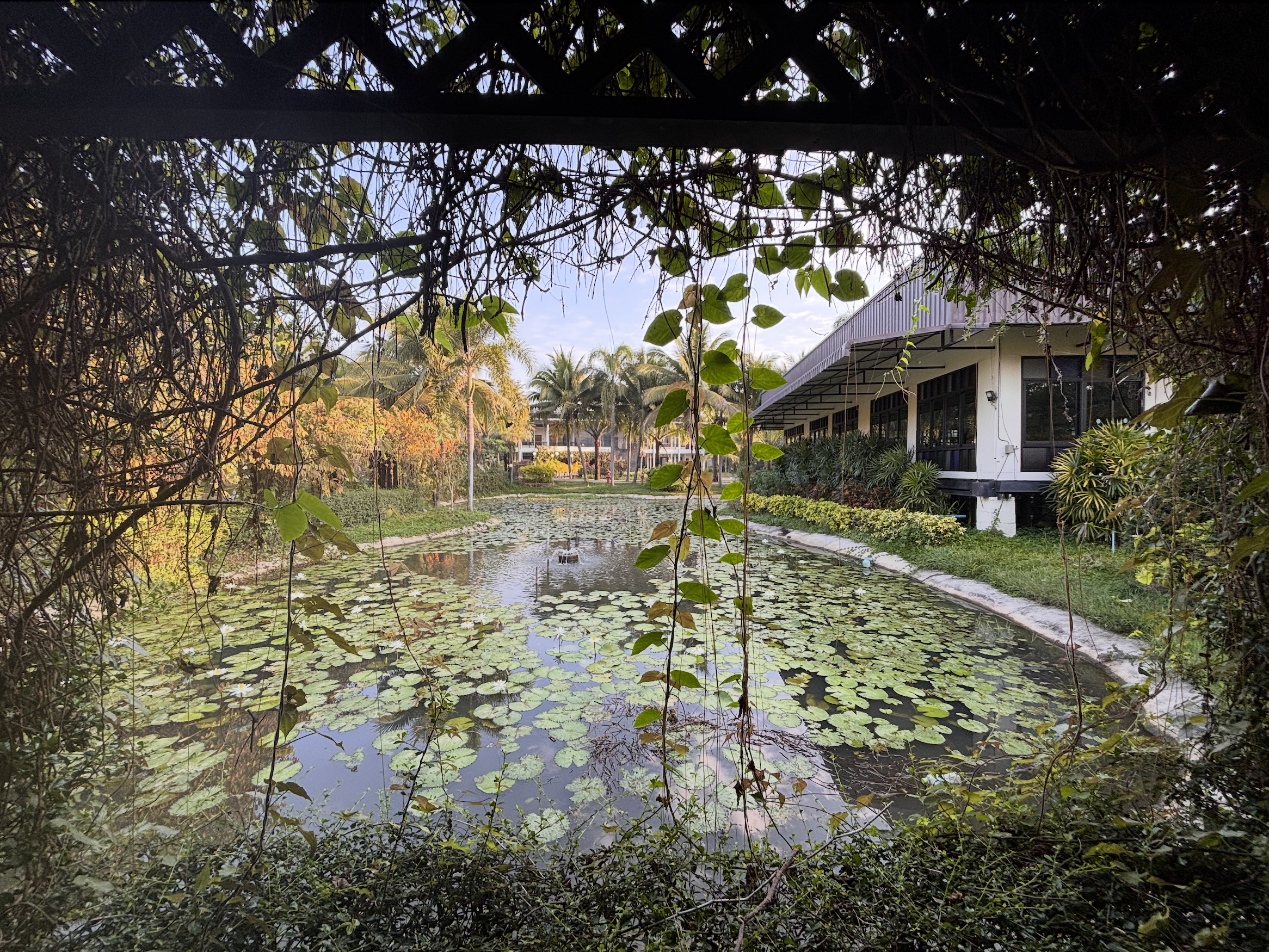 Lieu d'hébergement recommandé à Chiang Mai